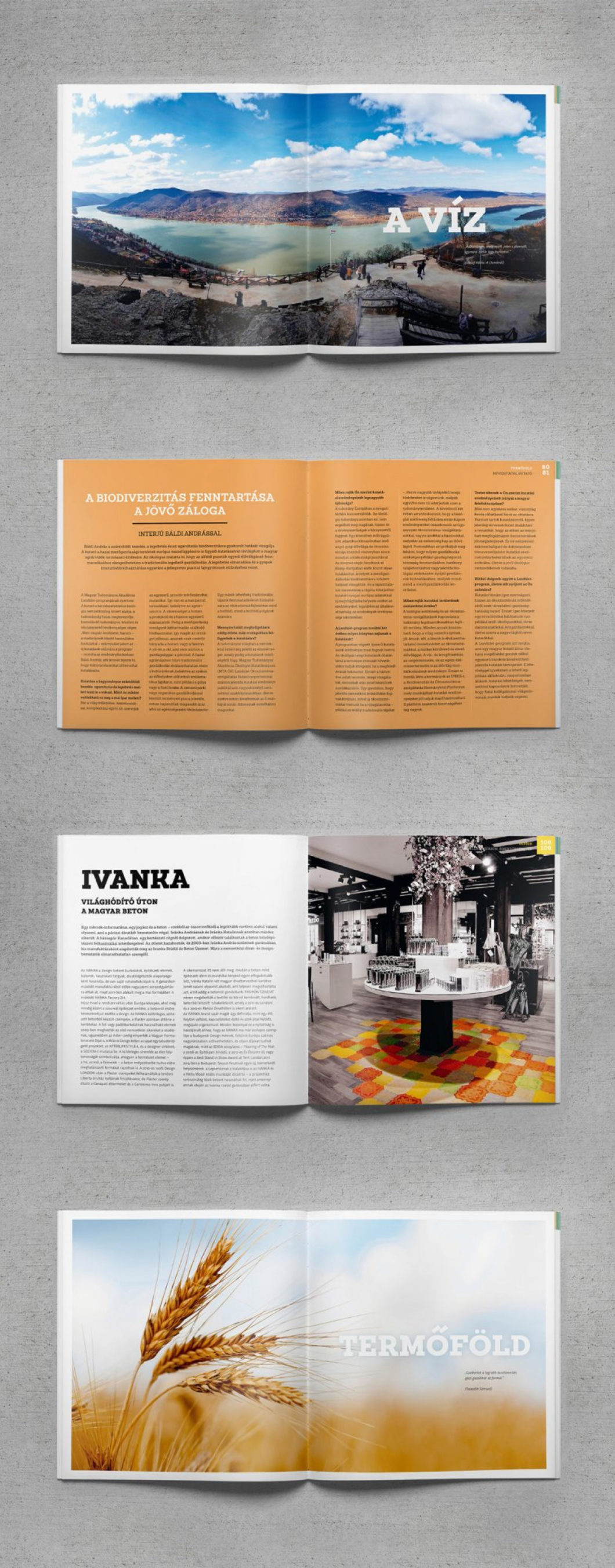 Graphasel Design Studio - Campus Hungary Booklet - Print Graphasel Design Studio - Campus Hungary Booklet - Print