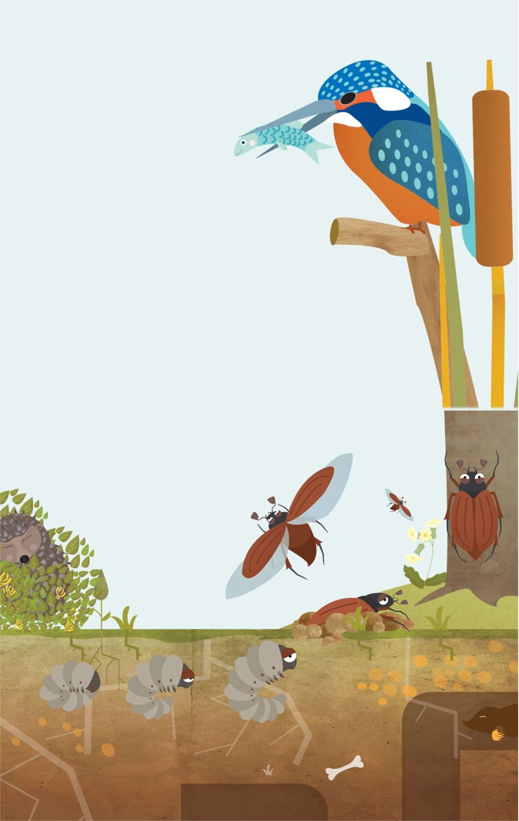 Graphasel Design Studio - National Textbook Publisher Ltd. - Print Graphasel Design Studio - National Textbook Publisher Ltd. - Print